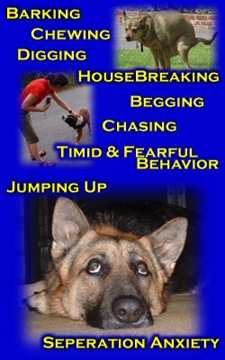 Dog Behavior Problems