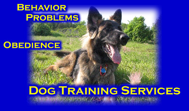 Dog Training and Dog Trainers Ohio Michigan